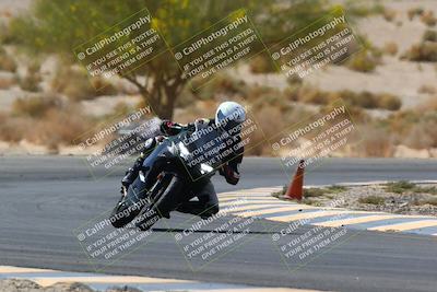 media/Apr-10-2022-SoCal Trackdays (Sun) [[f104b12566]]/Turn 5 Tree of Life (1040am)/